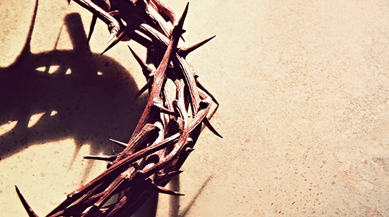 圖片來源:Crossmap Background 圖片來源:Crossmap Background